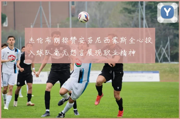 杰伦布朗称赞安芬尼西蒙斯全心投入球队毫无怨言展现职业精神