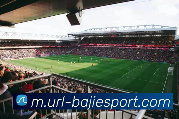 八戒足球体育服务体系